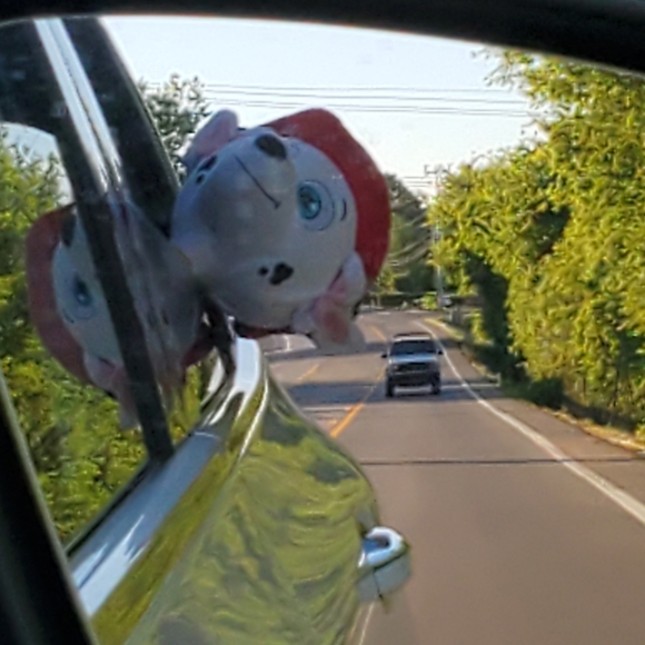 Meet your Posher, Melissa - Picture 11 of 12